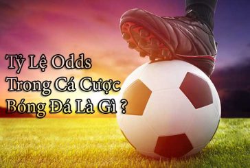 Cách phân biệt tỷ lệ Odds khi cá độ bóng đá tại W88